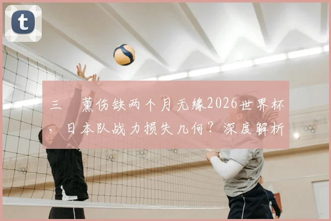 三笘薰伤缺两个月无缘2026世界杯，日本队战力损失几何？深度解析其伤情与布莱顿影响